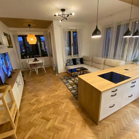 Vila Sik 2 Нове-Место-на-Мораве Экстерьер фото